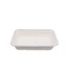 WPMT006 disposable bagasse chips tray