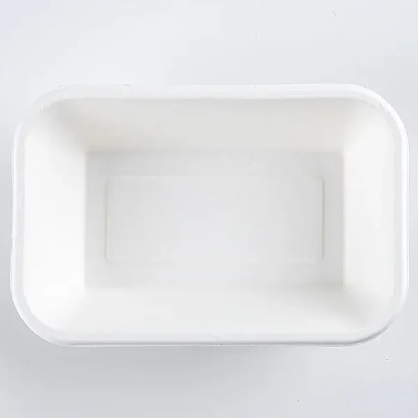 WPT056-2 Bagasse Fiber Meat Tray