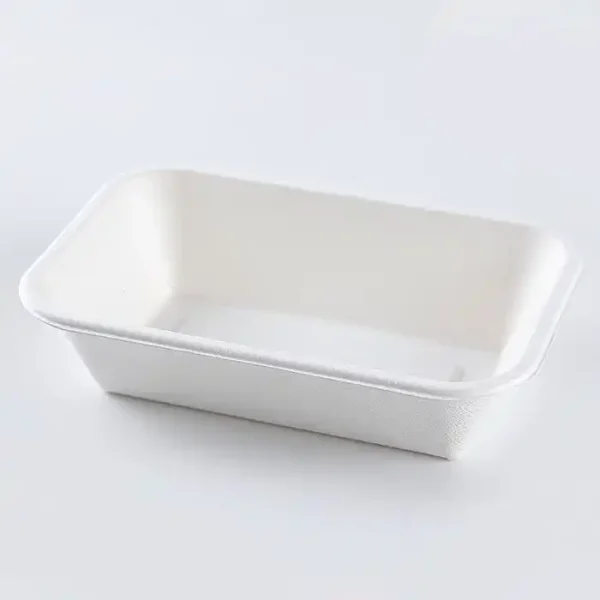 WPTP002-1 Bagasse fruit tray