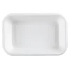 WPTP002-2 Bagasse Cafeteria tray