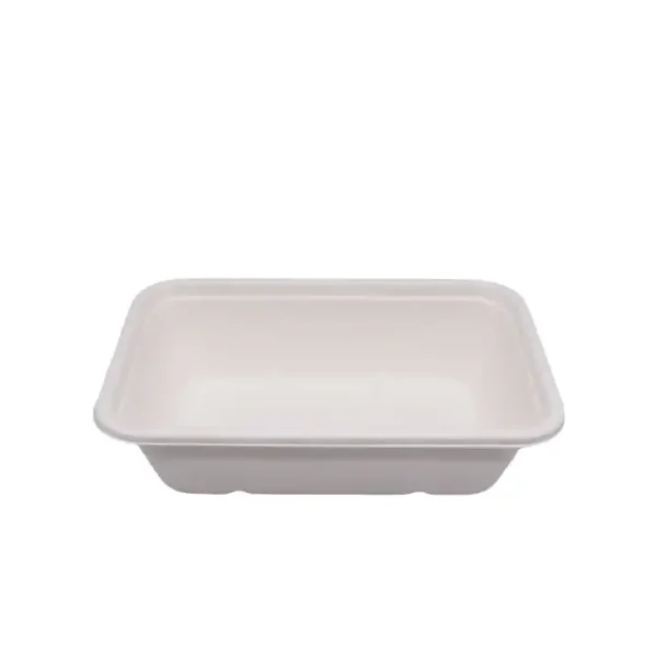 WPTP007-1sugarcane food tray with lid